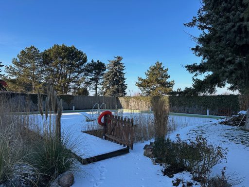 Winterliche Gartenlandschaft mit schneebedecktem Boden und Schwimmbecken.