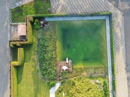 Grüner Teich umgeben von Rasenflächen und Pflanzen, teilweise mit Steinen gestaltet.