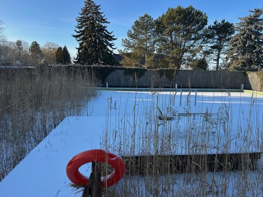 Ein unberührter Wintergarten mit einem Holzsteg der auf einen zugefrorenen Teich mit hohem Schilf und einem roten Rettungsring führt.