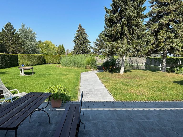 Gartenansicht mit Rasen, Bäumen und einem Pflasterweg im Sonnenschein.