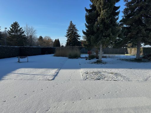 Verschneite Gartenlandschaft mit Bäumen und blauen Himmel.